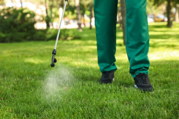 Best Mosquito Control Services  in Oakbrook Terrace, IL
