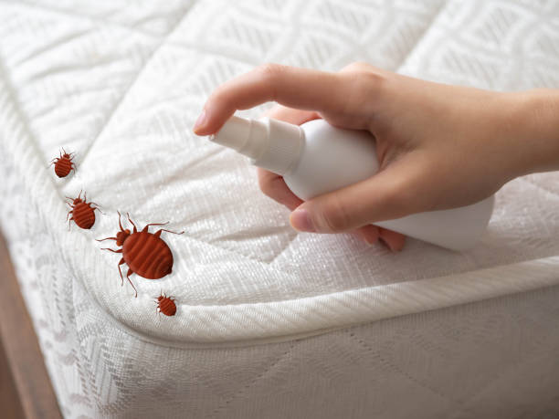 Best Pest Inspection Near Me  in Oakbrook Terrace, IL