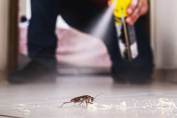 Best Cockroach Control Services  in Oakbrook Terrace, IL