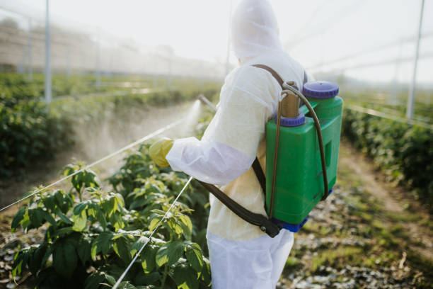 Oakbrook Terrace, IL Pest Control Company